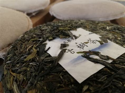高黎贡山普洱茶怎么样 有哪些优势 - 品牌之家