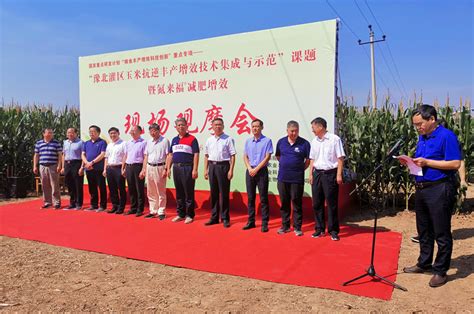 农业科技加持，让河南玉米更“茁壮”_简讯_资讯_种业商务网