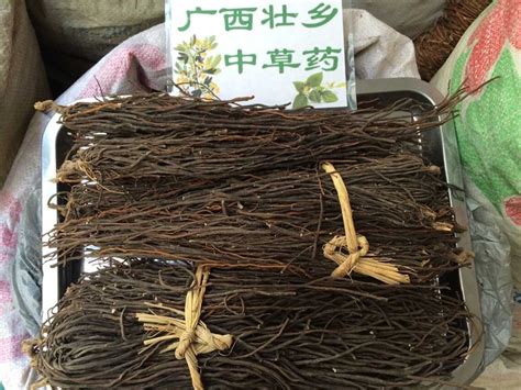 灵仙图片
