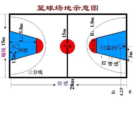 标准篮球场画线尺寸图_国际标准篮球场尺寸图 - 电影天堂