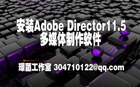 安装Adobe_director11.5多媒体制作软件_哔哩哔哩_bilibili