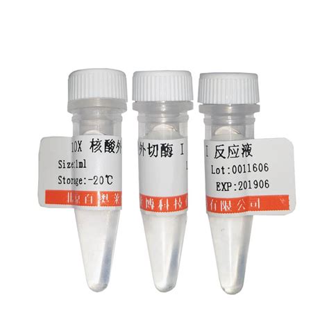转染试剂lipo3000-lip3000-细胞转染试剂价格