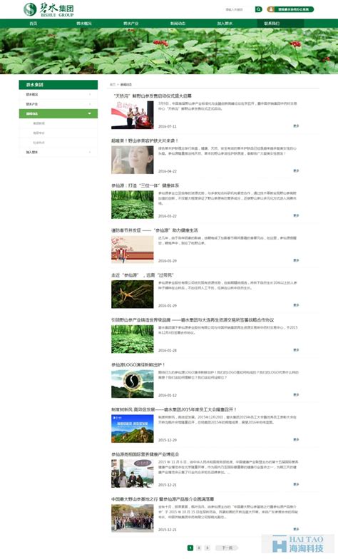 碧水集团旅游网站的建设,上海旅游公司网站建设,旅游行业网站建设-海淘科技
