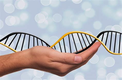科学家发现DNA中寿命时钟：人类自然寿命是38岁-寿命,DNA,基因,长寿,灭绝,时钟 ——快科技(驱动之家旗下媒体)--科技改变未来