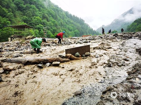上半年自然灾害致全国204人死亡83人失踪 直接经济损失518.9亿元|新疆|农作物|地震_新浪新闻