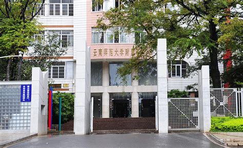 云南最好的小学有哪些（2022云南昆明一级一等小学排名） - 学习 - 布条百科