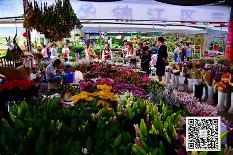 昆明斗南花卉市场再创新高 去年鲜花交易总额达73亿元 园林资讯