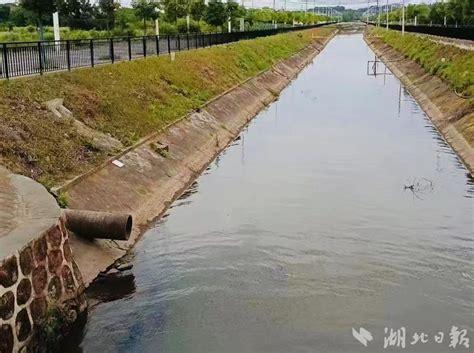 【湖北日报】为了让灌溉用水安全抵达田间地头-湖北省水利厅