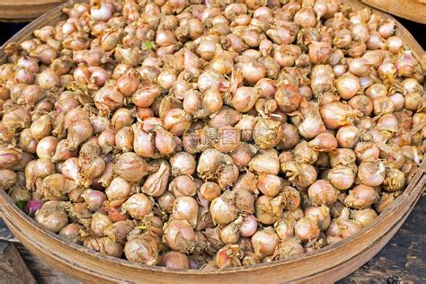 印尼爪哇市场大蒜成堆蔬菜有机的印度尼西亚高清图片下载-正版图片307572720-摄图网