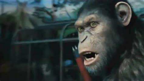 20 世纪影业宣布制作《猩球崛起》系列新片 – NOWRE现客