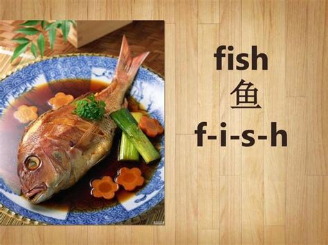 鱼的英语单词怎么写（鱼的英语是什么）