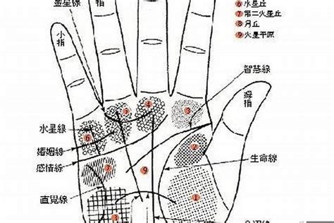 漏财手相图解图片