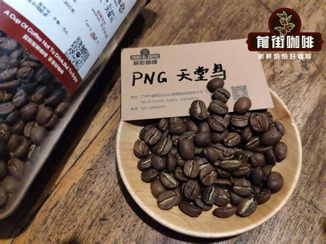 新手入门级咖啡豆品牌推荐 世界咖啡豆产区风味特点口感介绍 中国咖啡网