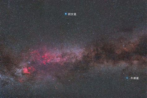 星圣4&#183;星骑士织女星图片