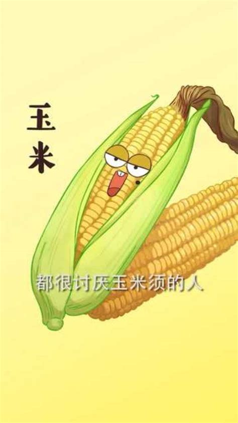 玉米-玉米 - 早旭阅读
