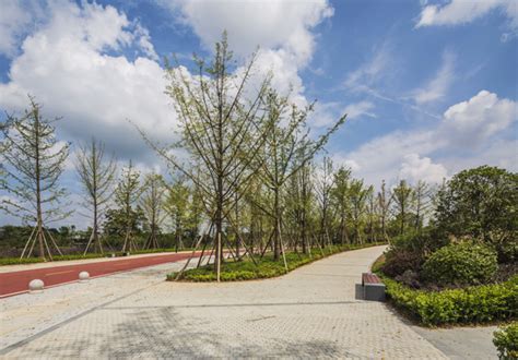 园林工程-上海质升建筑工程有限公司