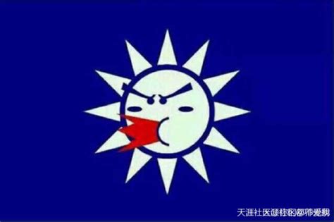 将来的台湾特别行政区区旗是否是梅花旗?_百度知道