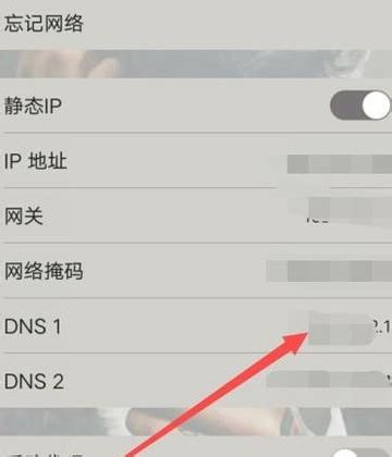 苹果手机DNS怎么设置_360新知