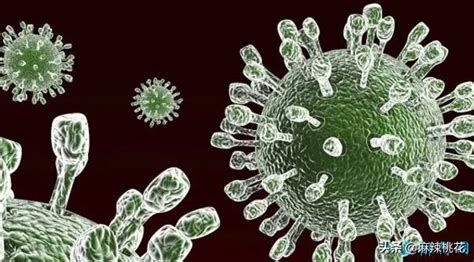 世界十大病毒排行榜 , 最可怕病毒排名