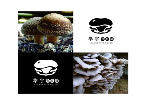 珍稀食用菌栗蘑，你知道它的名字怎么来的吗？|栗蘑|菌丝体|食用菌_新浪新闻