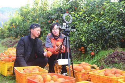 农村电商如何做？4个步骤让农产品成功卖出-甜柚网