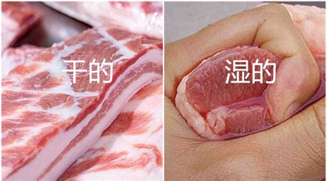 米猪肉是什么肉可以吃吗 买猪肉要注意什么2023 _八宝网