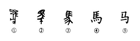 细说汉字“马”，马字的本义、马字演变及起源 - 细说汉字 - 辞洋