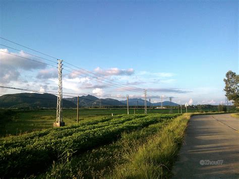 告别定海路，程乃珊笔下的“上海穷街”将走入历史_澎湃号·政务_澎湃新闻-The Paper