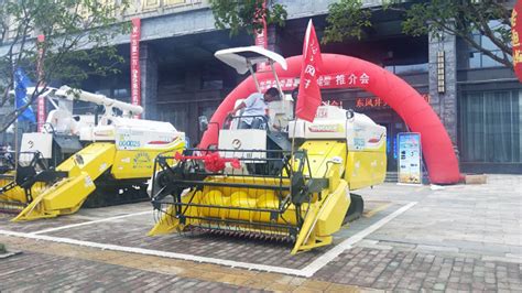 南漳县致富道路的打通,带来了产业的迅速发展-襄阳搜狐焦点