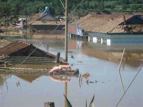 由于洪水而被淹的村庄的景色高清图片下载-正版图片503714176-摄图网