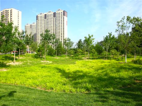 朝阳区体育健身休闲公园在哪「北京金隅汇星苑」-星疾