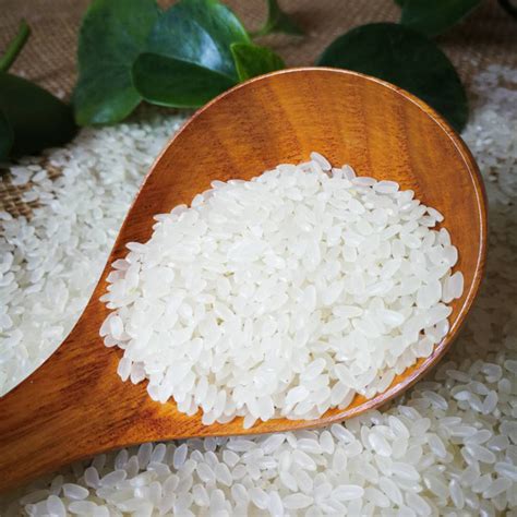 黑龙江最好吃的大米是“五常大米”么？“响水大米”有话要说！ - 知乎