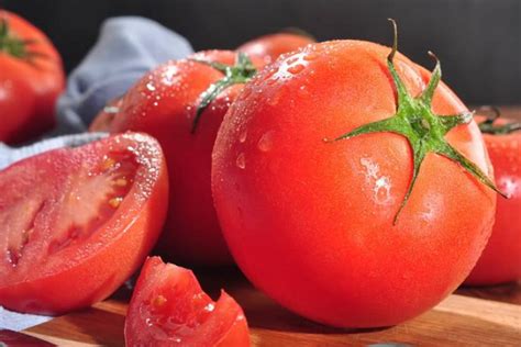 西红柿栽培时间与施肥方法 - 蓝妖花园