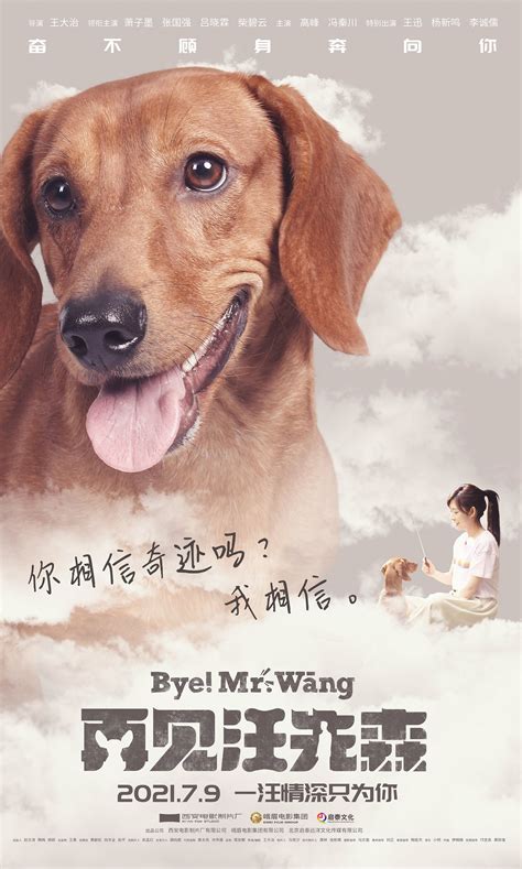 电影《再见汪先森》发布角色海报 吕晓霖柴碧云上演宠物奇缘