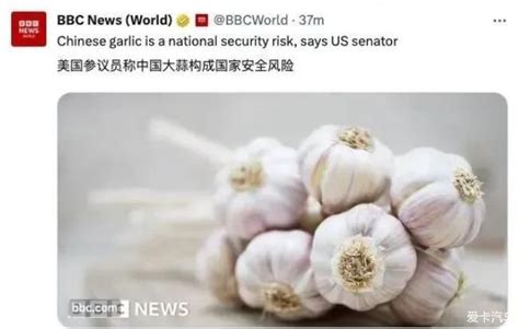 美国参议员指控：中国大蒜构成重大国家安全风险-爱卡汽车网论坛