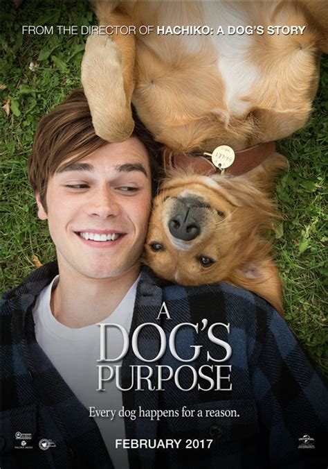 关于狗狗的电影有哪些：以狗为题材的电影推荐-七乐剧