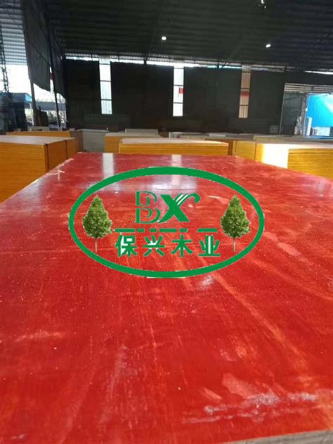 广西建筑模板厂家分享建筑模板施工保证质量要做这几点_广西贵港保兴木业有限公司