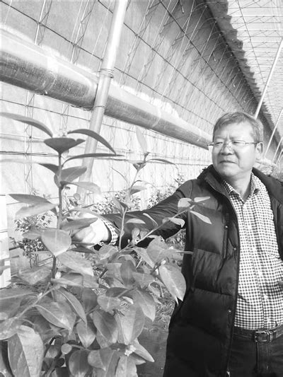 【科技日报】科特派黄国辉： 孕育蓝莓种植的“丹东模式”-辽东学院-新闻网