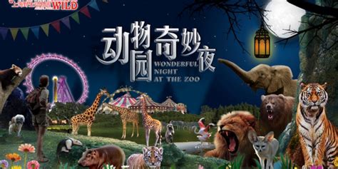 室内动物园写实海报合成|平面|海报|Sunny8706 - 原创作品 - 站酷 (ZCOOL)