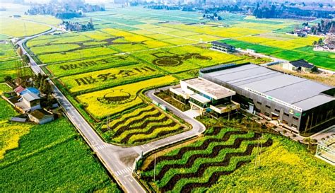 以科技力量服务现代农业，苏净布什助力卢氏县AIOT智联植物工厂示范园项目建设 - V客暖通网