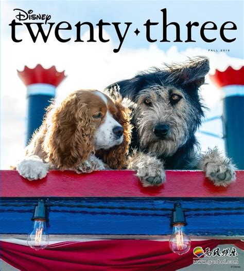 迪士尼粉丝大会官方杂志《D23》发布“真狗版”《小姐与流浪汉》剧照-新闻资讯-高贝娱乐