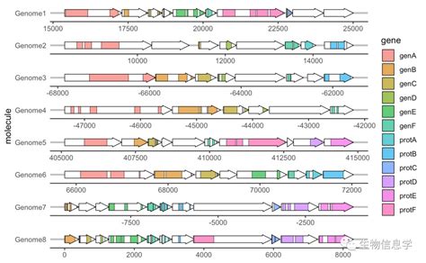 完成图里程碑丨首个完整人类基因序列发布 – GrandOmics|希望组