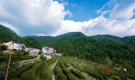 岳西县城区基础设施建设项目开展发放《致岳西县城区居民的一封信》活动