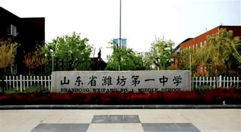 潍坊一中（含未来实验校区）2022年高中招生录取标准_考生_政史_理化