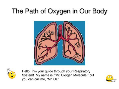 Oxygen Supplies Kit