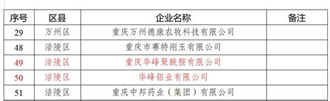 重庆基地两公司入选2022年重庆市“专精特新”中小企业名单 - 华峰新闻 - 华峰集团有限公司-打造国际一流的新材料合作伙伴