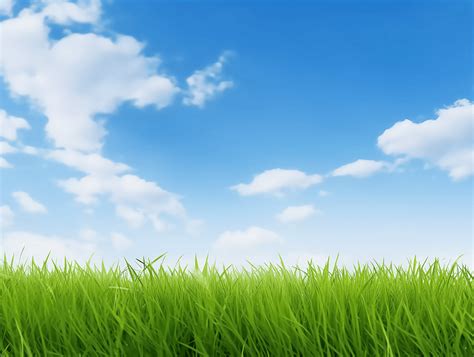 蓝天白云背景下的绿色草地春天清新风景美丽的大自然青草植物图片下载 - 觅知网