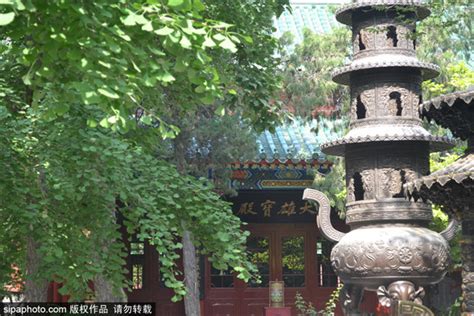 北京城内尼姑寺庙通教寺