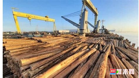 物流受阻国内木材进口大受影响 【批木网】 - 木业行业 - 批木网
