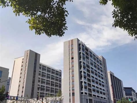 保障型公共住房怎么界定的，2022年保障性住房占那么高 - 家在深圳